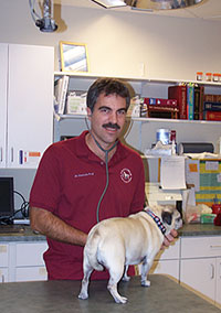 Kenneth Preli DVM, Milford CT veterinarian and owner of Companion Animal Hospital of Milford, offers veterinary surgery, veterinary dentistry, emergency vet care, veterinary examinations, pet immunization shots, special diets and pet food for your dogs, cats, and other animals