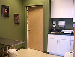 A Companion Animal Hospital of Milford exam room, a comprehensive veterinarian office providing pet examinations, pet wellness care, pet emergency care, pet surgery, pet medications, pet food for special diets, and a variety of veterinary care for your pet dogs, cats, or other animals
